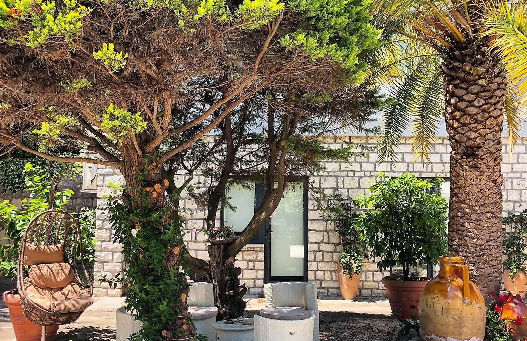 Le due palme Bed&Breakfast-1